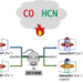 Novel dual antidote for protection from building fire gases