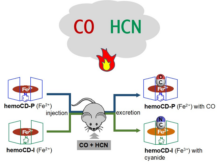 Novel dual antidote for protection from building fire gases