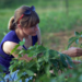 Rebecca Bart, PhD, member, Donald Danforth Plant Science Center