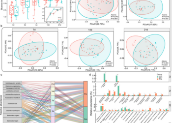 Microbial diversity and species-level genome bins (SGBs) features of piglets’ fecal metagenome dataset