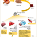 Therapeutic Importance of Ganoderma Lucidum Highlighted in Recent Review Paper