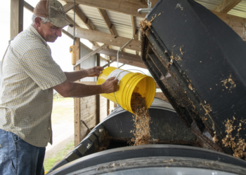 A man dumping food waste into a composter.