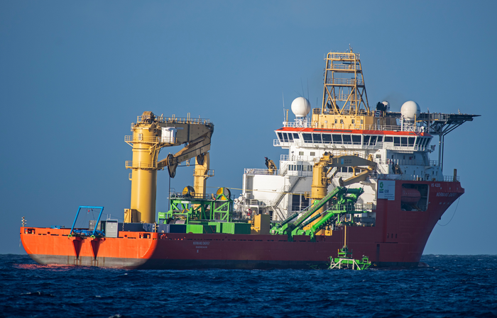 Whale warning as clock ticks towards deep-sea mining - BIOENGINEER.ORG
