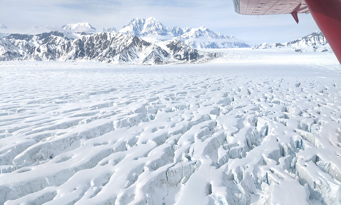 Malaspina Glacier