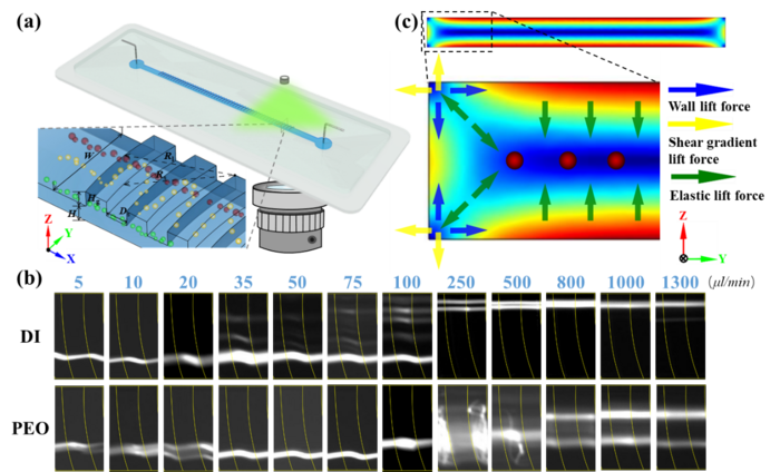 An on-chip viscoelasticity sensor