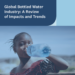 Global Bottled Water Industry: A Review of Impacts and Trends: report cover