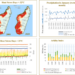 Madagascar case study