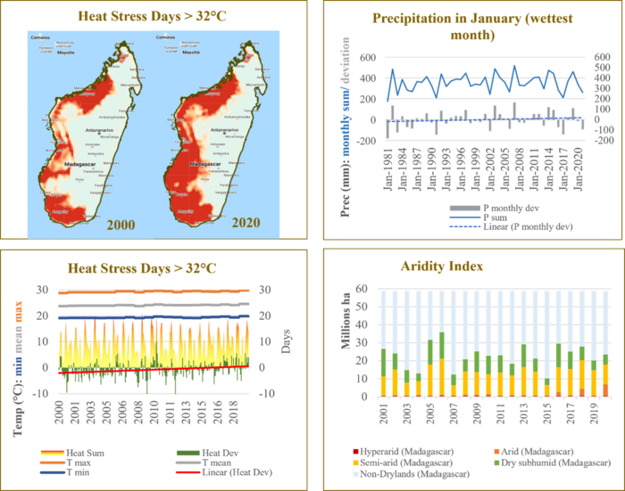 Madagascar case study