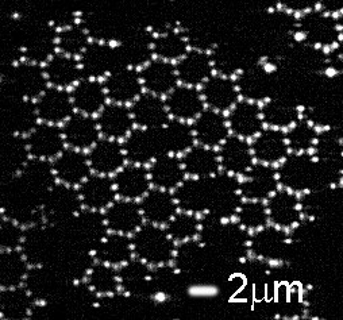 Pieces of a graphene lattice made from patchy particles