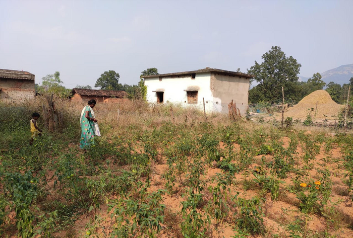 Home Gardens in India