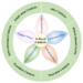 Five different effects of Ir-based catalysts