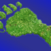 Island footprint