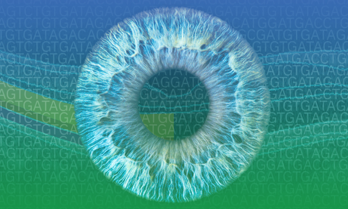 large-scale data enables new insights into rare eye disorders