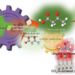 Turning waste CO2 and acetone into biodegradable plastic precursor