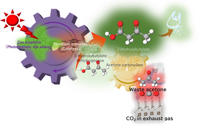 Turning waste CO2 and acetone into biodegradable plastic precursor