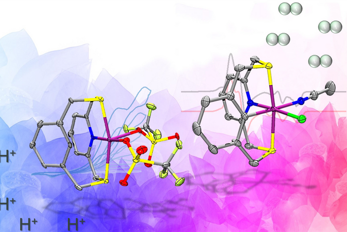 Hydrogenase enzyme