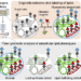 O-ClickFC for high-throughput analysis of single-cell lipid metabolism at the organelle level