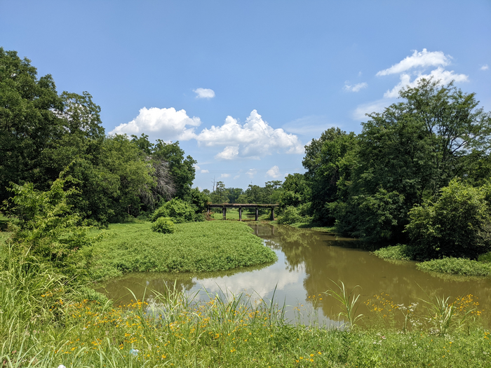 Rural Mississippi Delta community