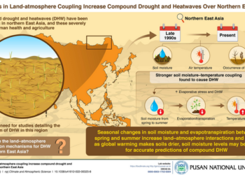 Studying Compound Droughts and Heatwaves in northern East Asia