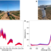 Hyperspectral Remote Sensing for Studying the Drought Response Phenotype of Beans