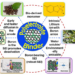 Properties and functions of the bio-polyelectrolyte binder