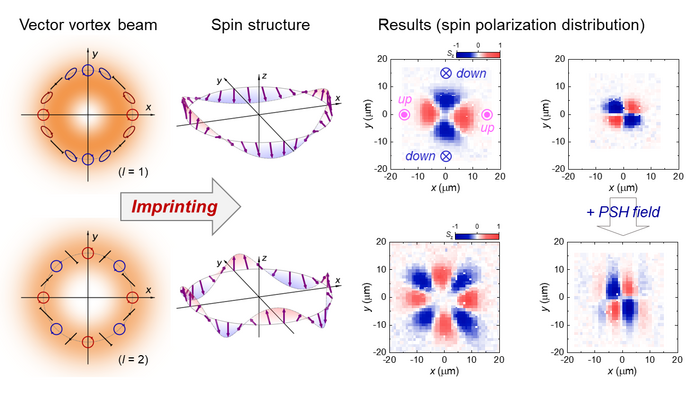 Generating and controlling electron spin states with spatially structured polarized light.