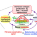 The fibrosis death spiral induced by VGLL3