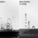 Enhanced singular jet formation in oil-coated bubble bursting