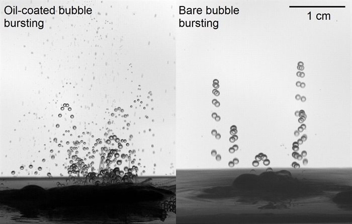 Enhanced singular jet formation in oil-coated bubble bursting