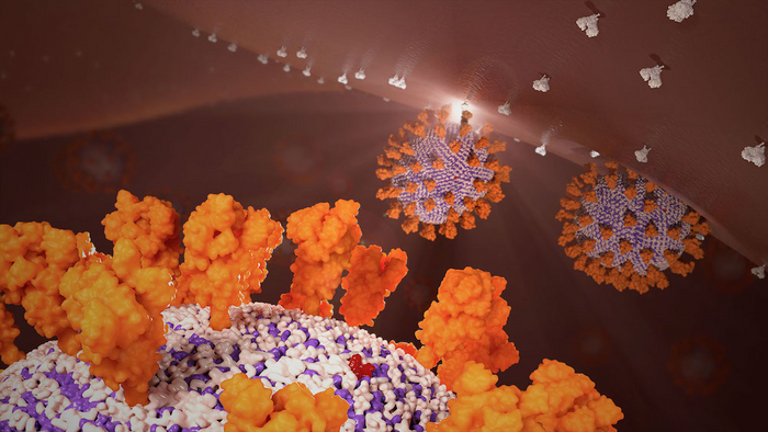 SARS-COV-2 Structure