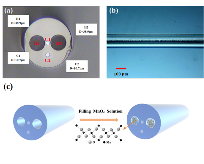 Figure 1 Structure and filling diagram of γ-MnO2 dual-core pair-hole fiber