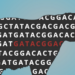 Zoonomia: Comparing genomes from 240 mammalian species