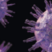 Epstein-Barr virus