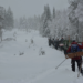 Researchers hike through snowy woodland with their equipment