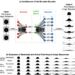 Examples of post-impact image sequences generated by the trained encoder–decoder and the actual binarized post-impact image sequences