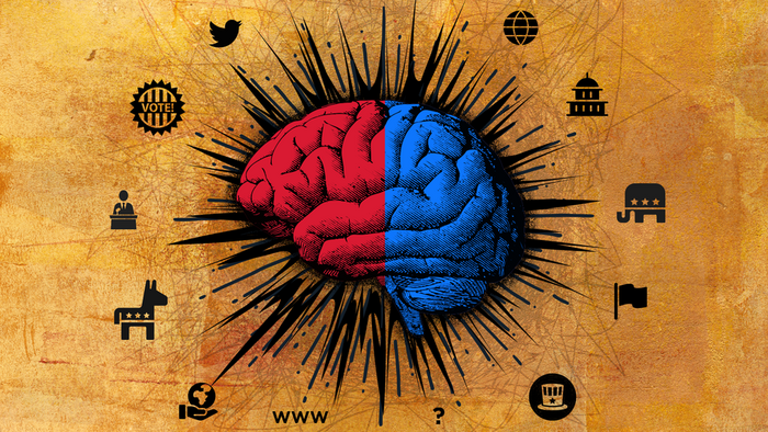 Red-blue brain