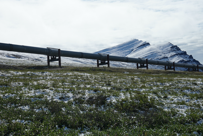 Pipeline in Alaska