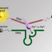 Novel iron sensor