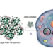 Schematic representation of the use of nanocages for siRNA delivery