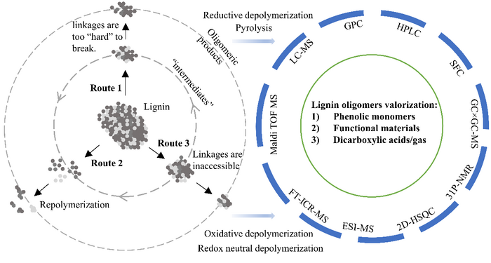 Perspective on oligomeric products from lignin depolymerization