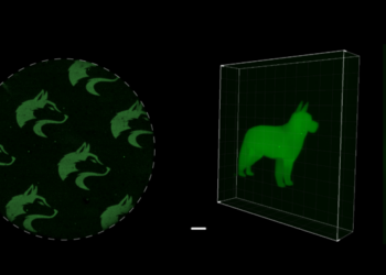 SpyLigation Microscopic 2D and 3D images