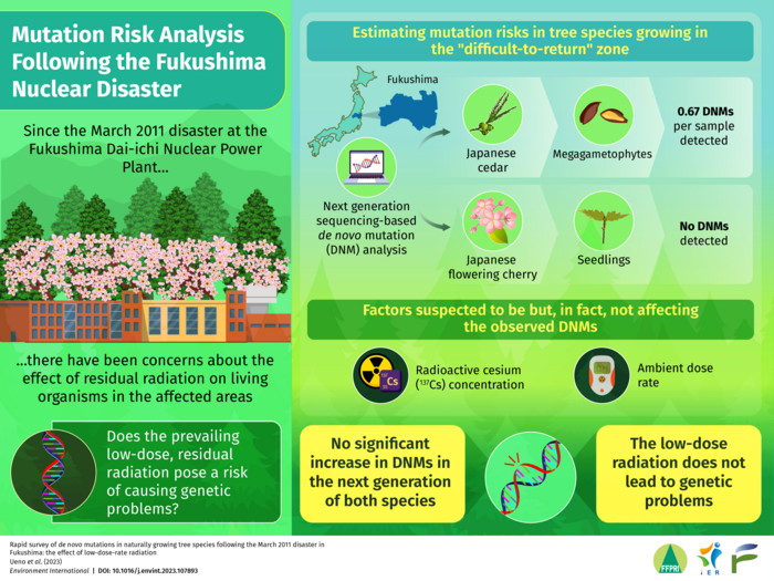 Analyzing the effects of low-dose-rate radiation on the next generation tree populations.