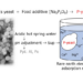 Overview of rare earth recovery using P-yeast