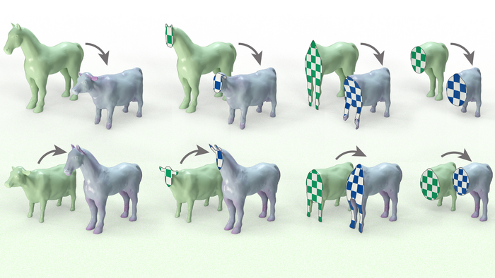 This image shows how the algorithm the researchers' developed can align two shapes by mapping the volume of one shape, in this case a horse, onto another shape, a cow.