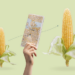 Guide through the maize genome