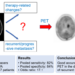 Amino acid PET successfully differentiates recurrent brain metastases