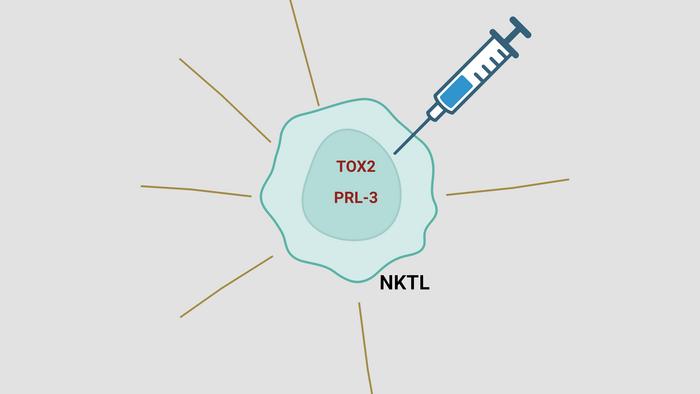 Potential new therapeutic targets in NKTL