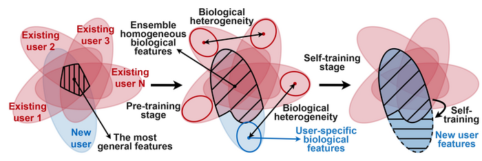 The key principle of the method