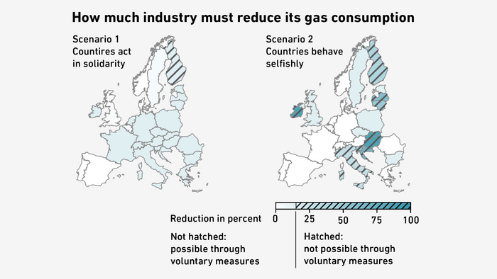 How much industry must reduce its gas consumption