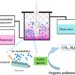 Schematic diagram of the photocatalytic reactor coupling with nanobubbles for degradation of the organic pollutants.